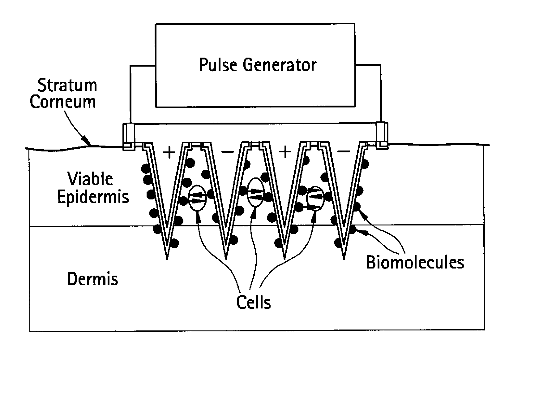 Method for Making Electrically Conductive Three-Dimensional Structures