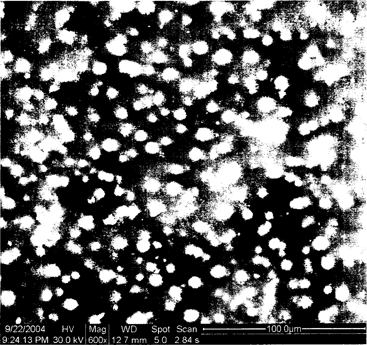 Organic-inorganic substances compound membrane and its preparation method