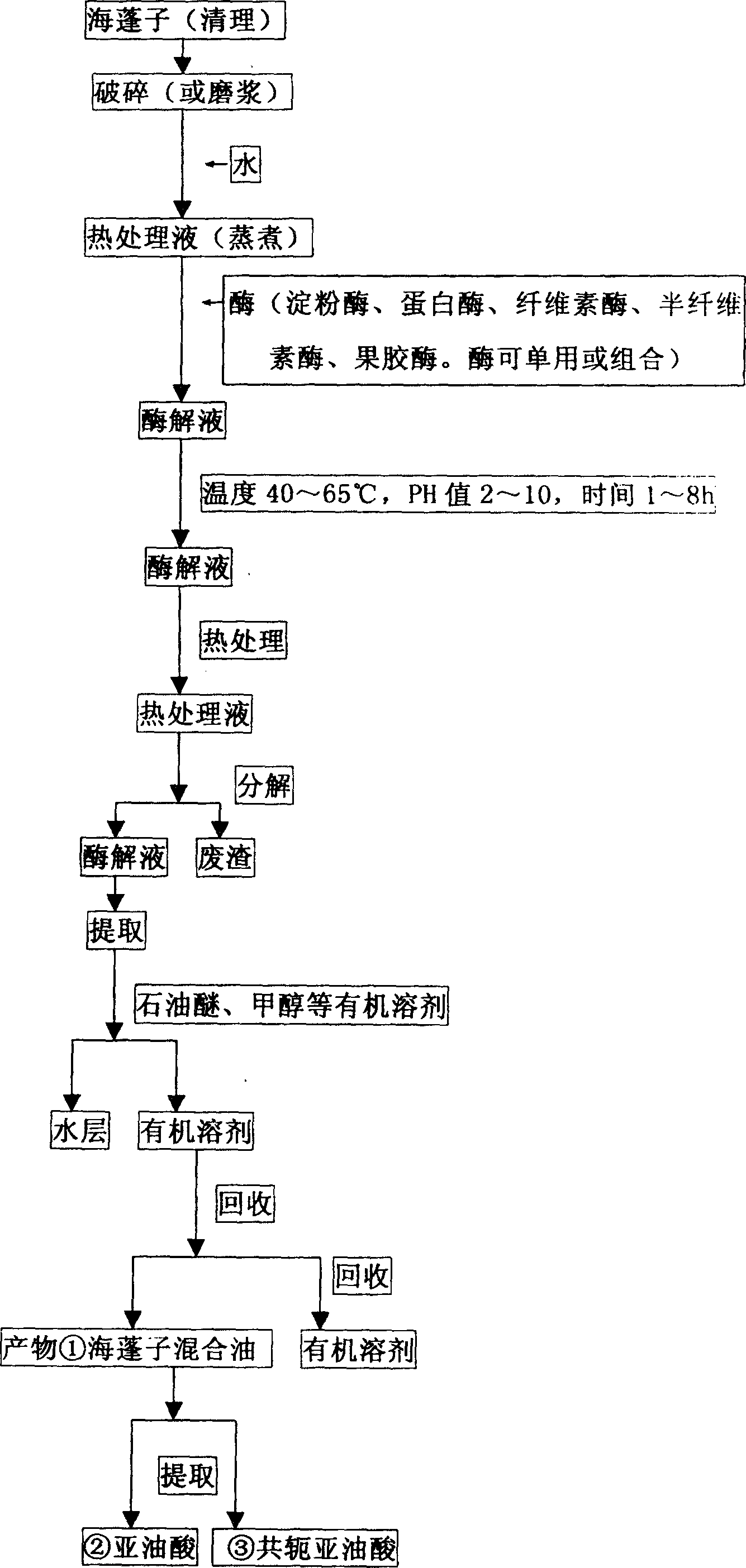 Process of extracting glasswort oil from glasswort plant