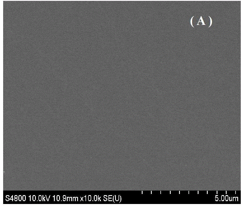 Method for detecting surviving gene based on graphene-gold composite material electrochemical DNA (Deoxyribose Nucleic Acid) biosensor