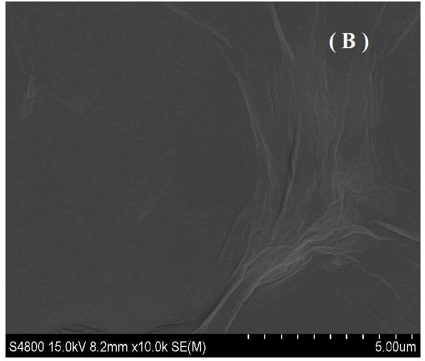 Method for detecting surviving gene based on graphene-gold composite material electrochemical DNA (Deoxyribose Nucleic Acid) biosensor