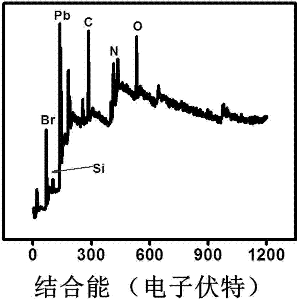 Method for synthesizing silicon dioxide cladded organic-inorganic perovskite structure quantum dot and application of quantum dot synthesized by method