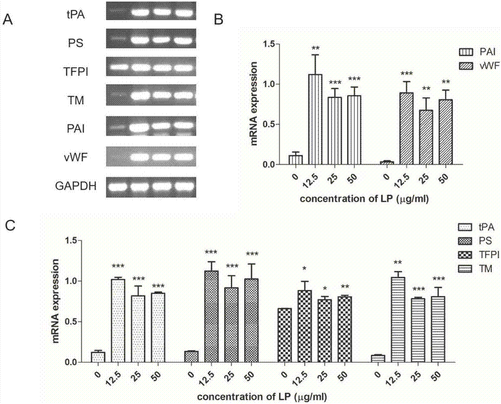 Process for preparing hirudin peptide for reducing harmful bleeding reaction of hirudo