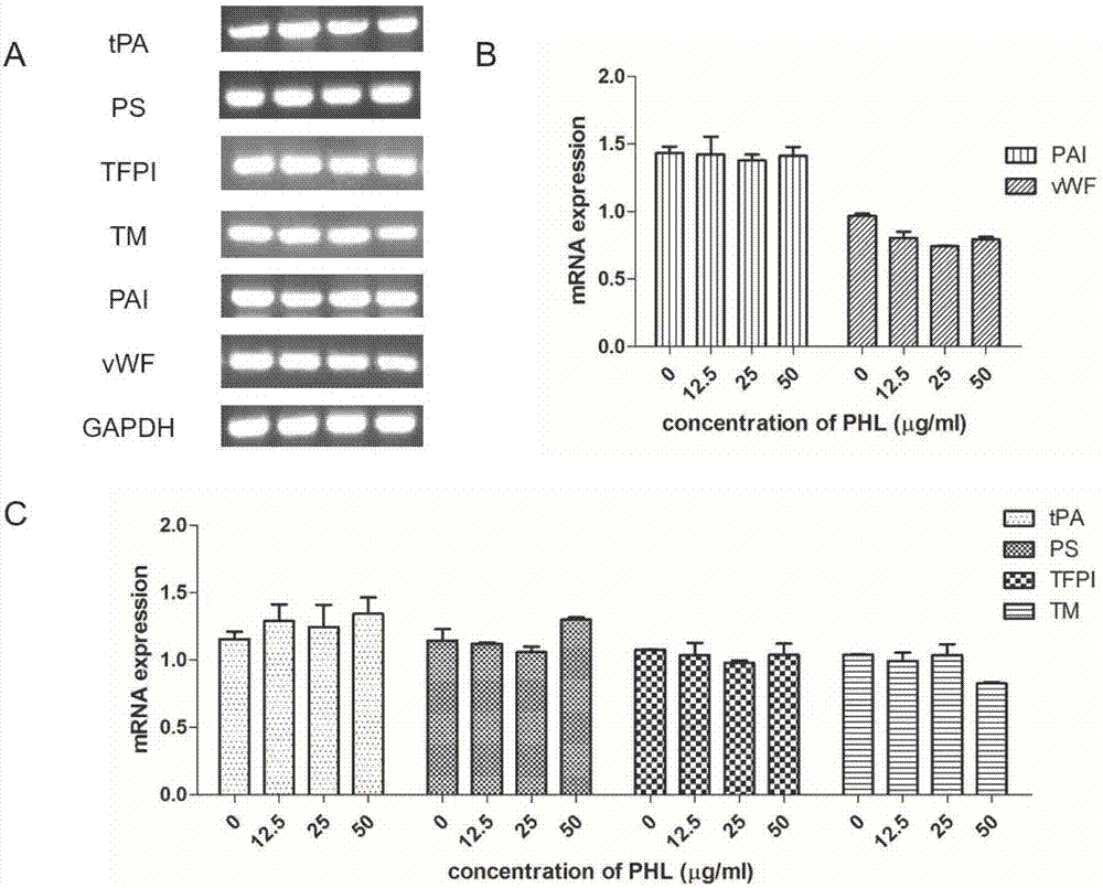 Process for preparing hirudin peptide for reducing harmful bleeding reaction of hirudo