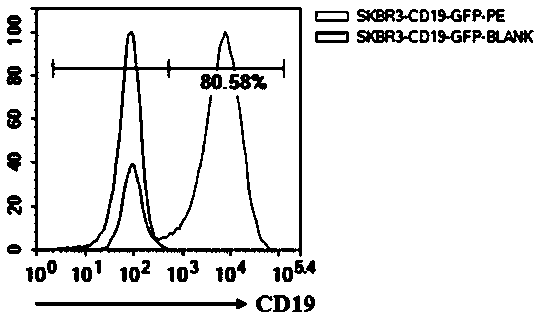 Method for evaluating CAR-T killing activity in vitro