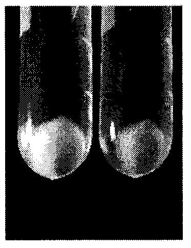 express c  <sub>30</sub> Carotenoids from Recombinant Bacillus subtilis