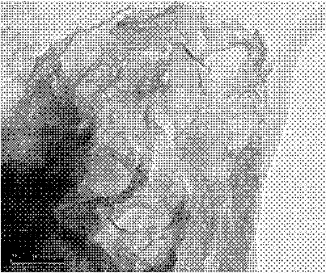 Method for preparing porous graphene material