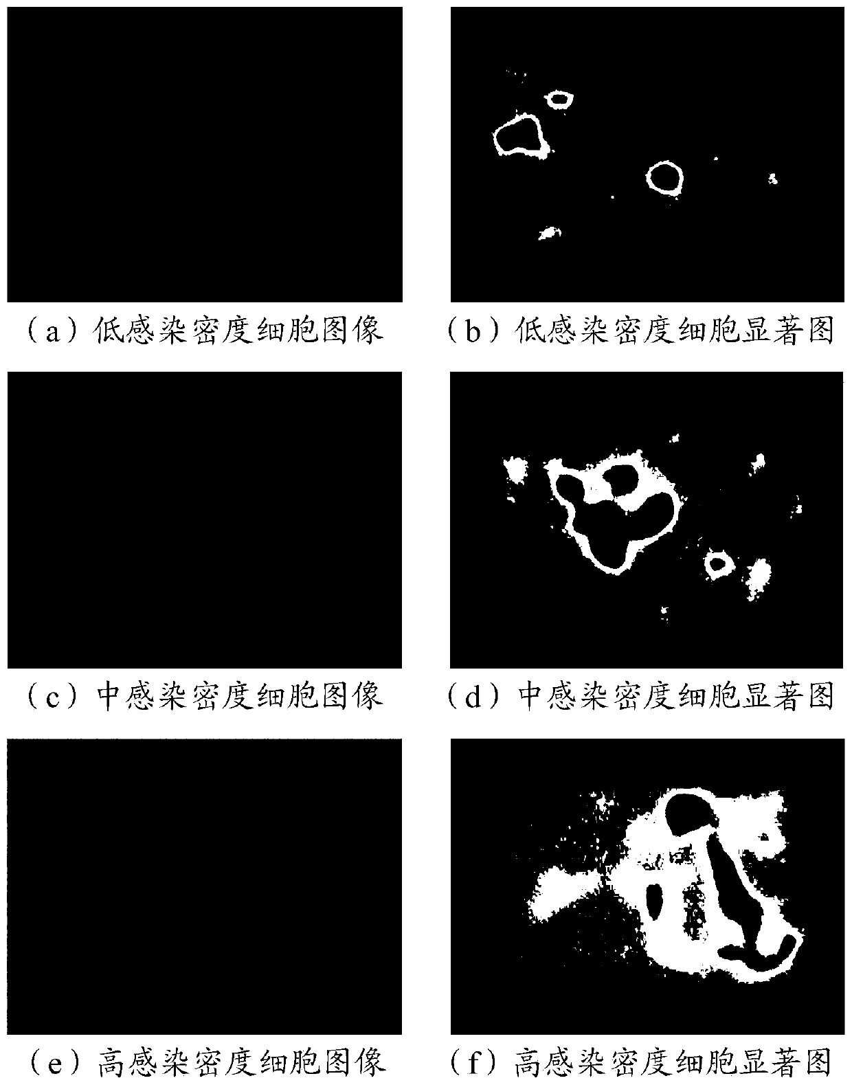 Bioreactor virus infected cell quality evaluation method