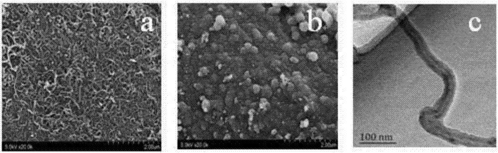 Polyaniline/carbon nanotube/cotton fabric composite flexible electrode with high specific capacitance, and preparation and application thereof