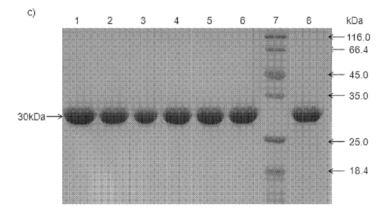 Double carbonyl reductase mutant and its application