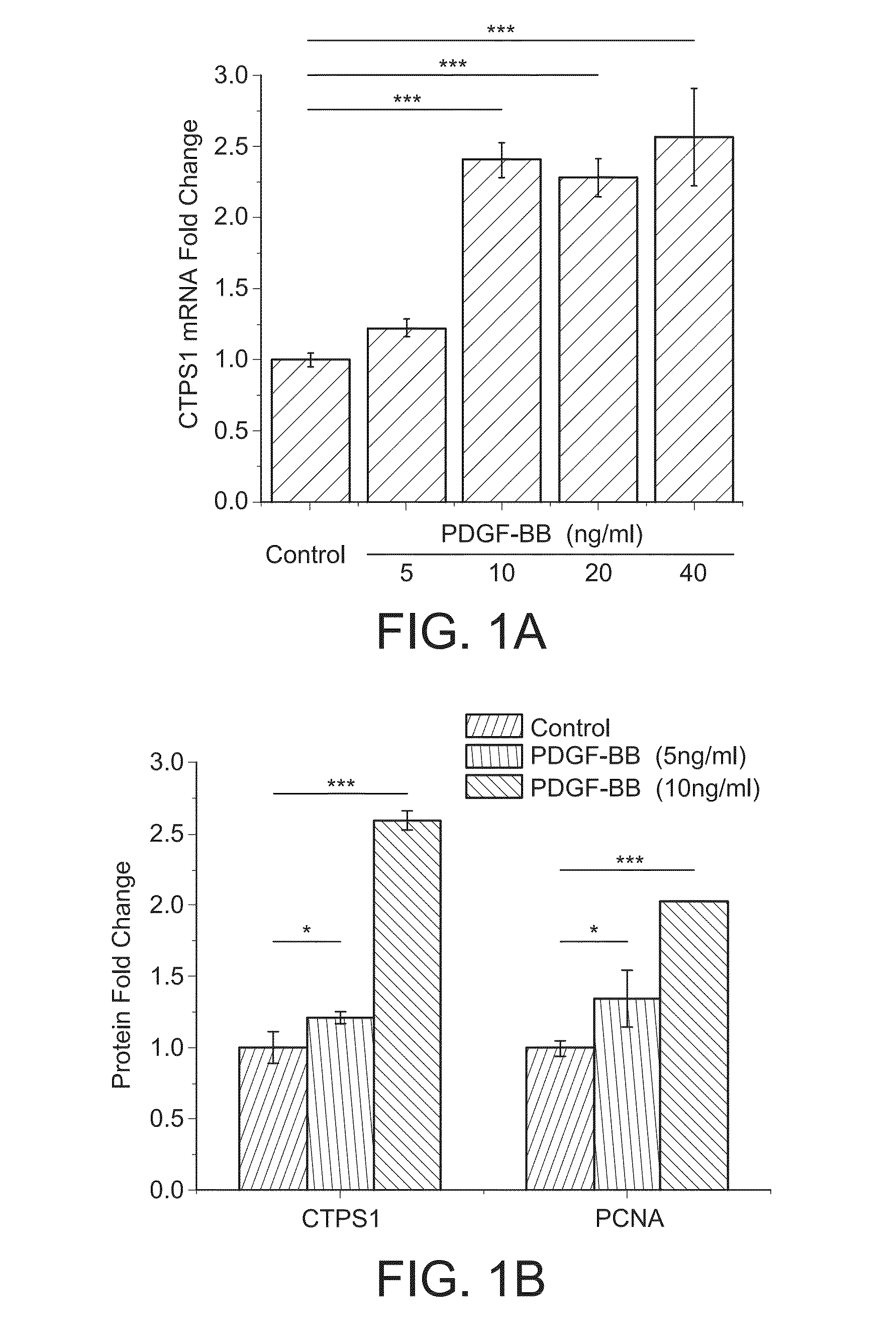 Compositions and Methods for Reducing Neointima Formation