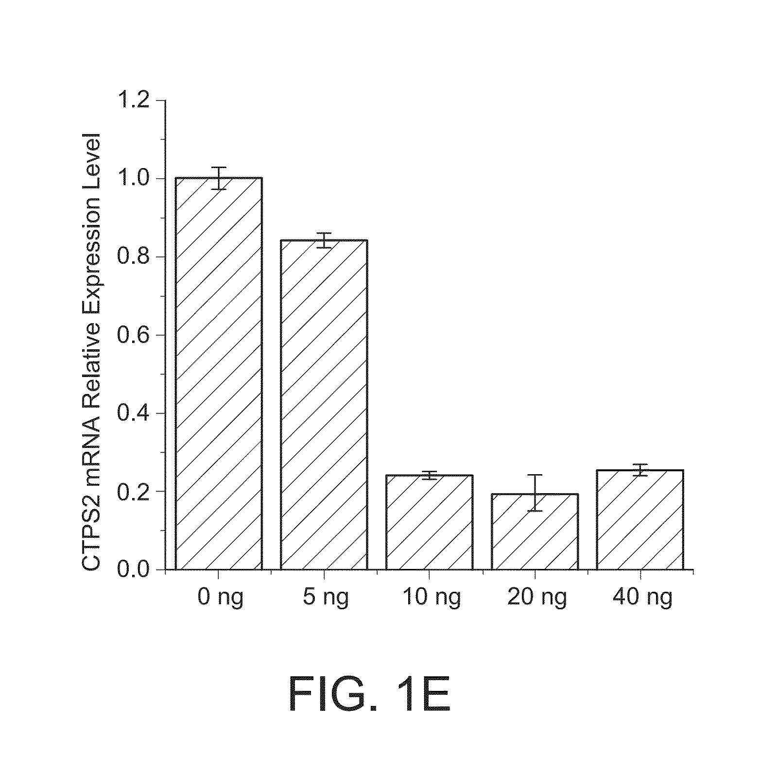 Compositions and Methods for Reducing Neointima Formation