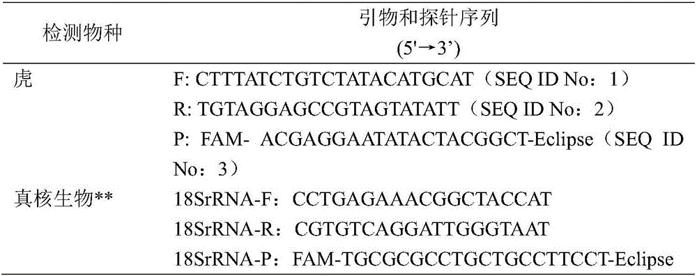 Real-time fluorescence PCR identification method, primer and probe of tiger derived component