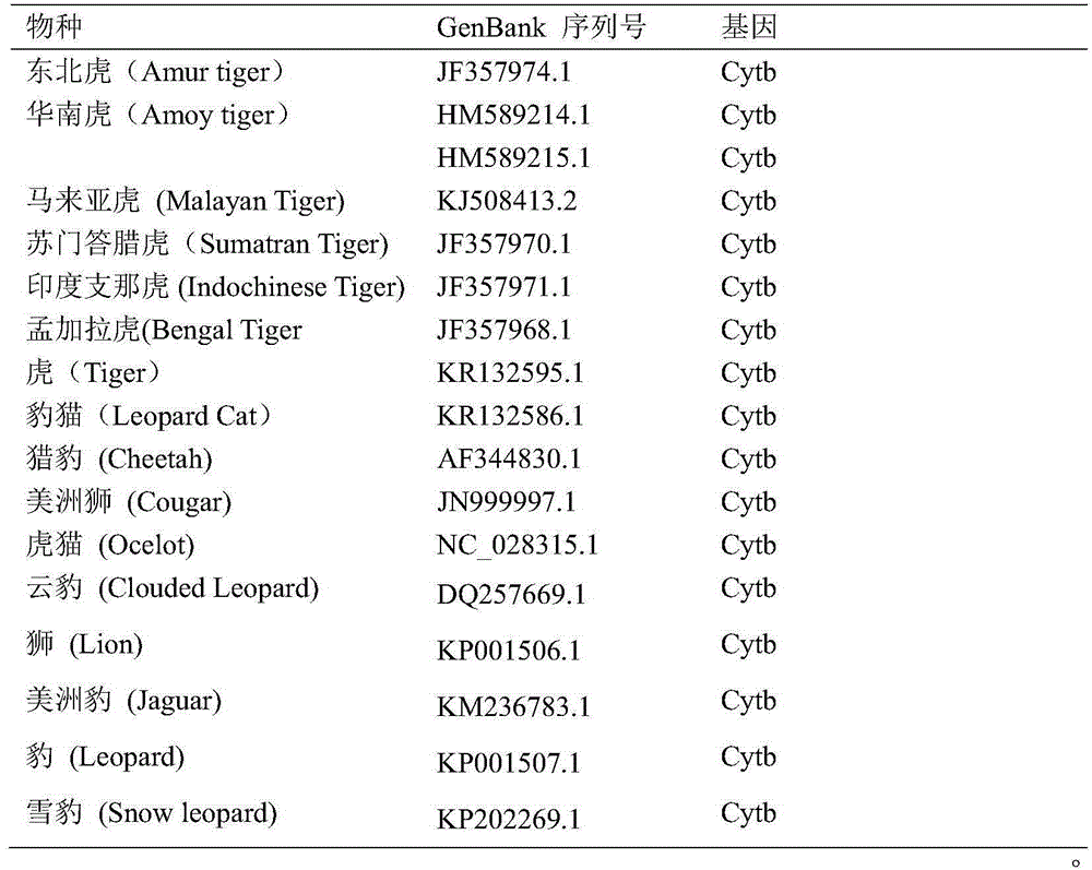 Real-time fluorescence PCR identification method, primer and probe of tiger derived component