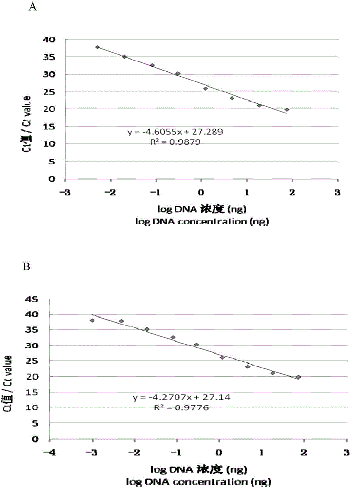 Real-time fluorescence PCR identification method, primer and probe of tiger derived component