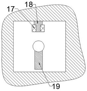 An automatic fertilization device with directional fertilization and anti-waste functions