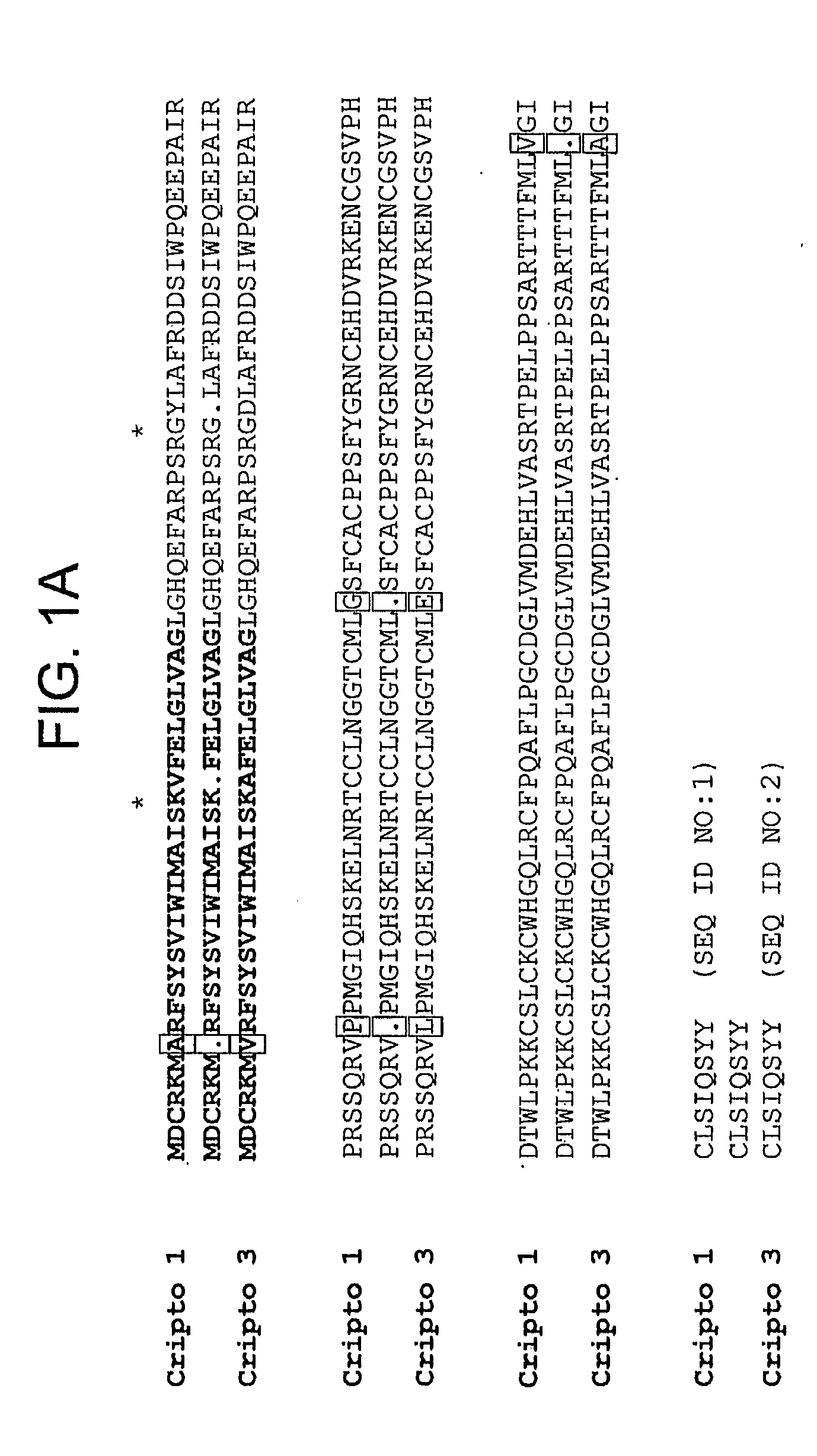 Composition and methods for the detection of cripto-3