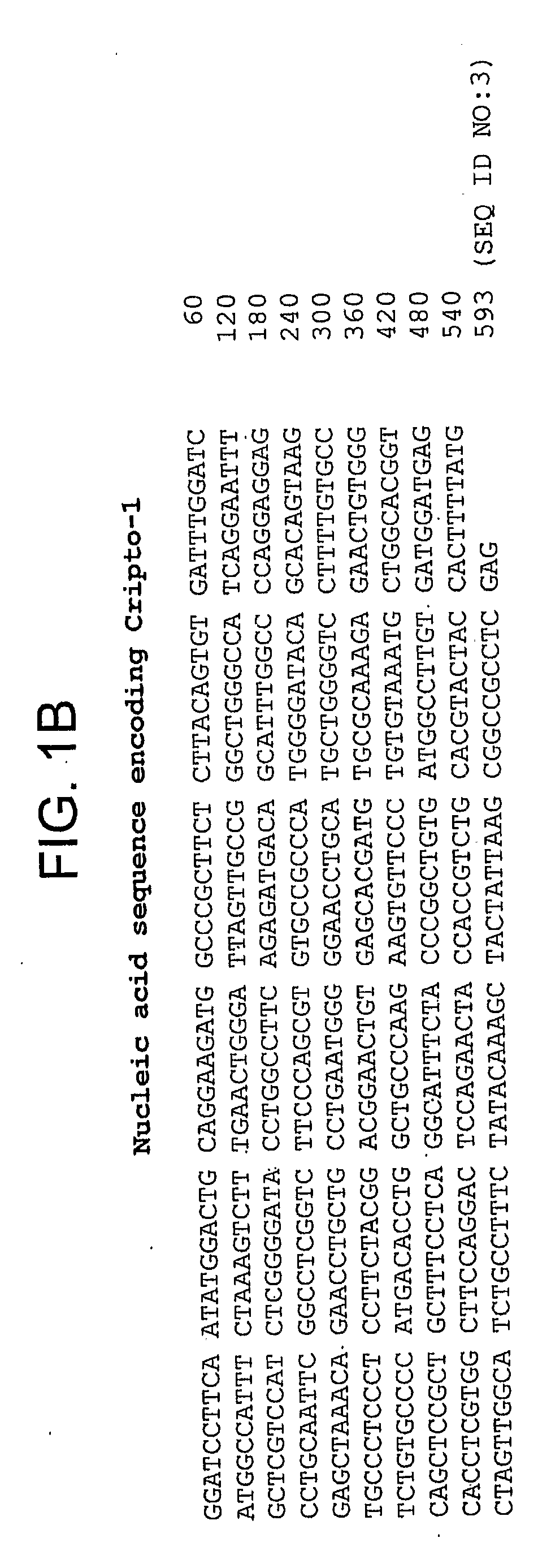 Composition and methods for the detection of cripto-3