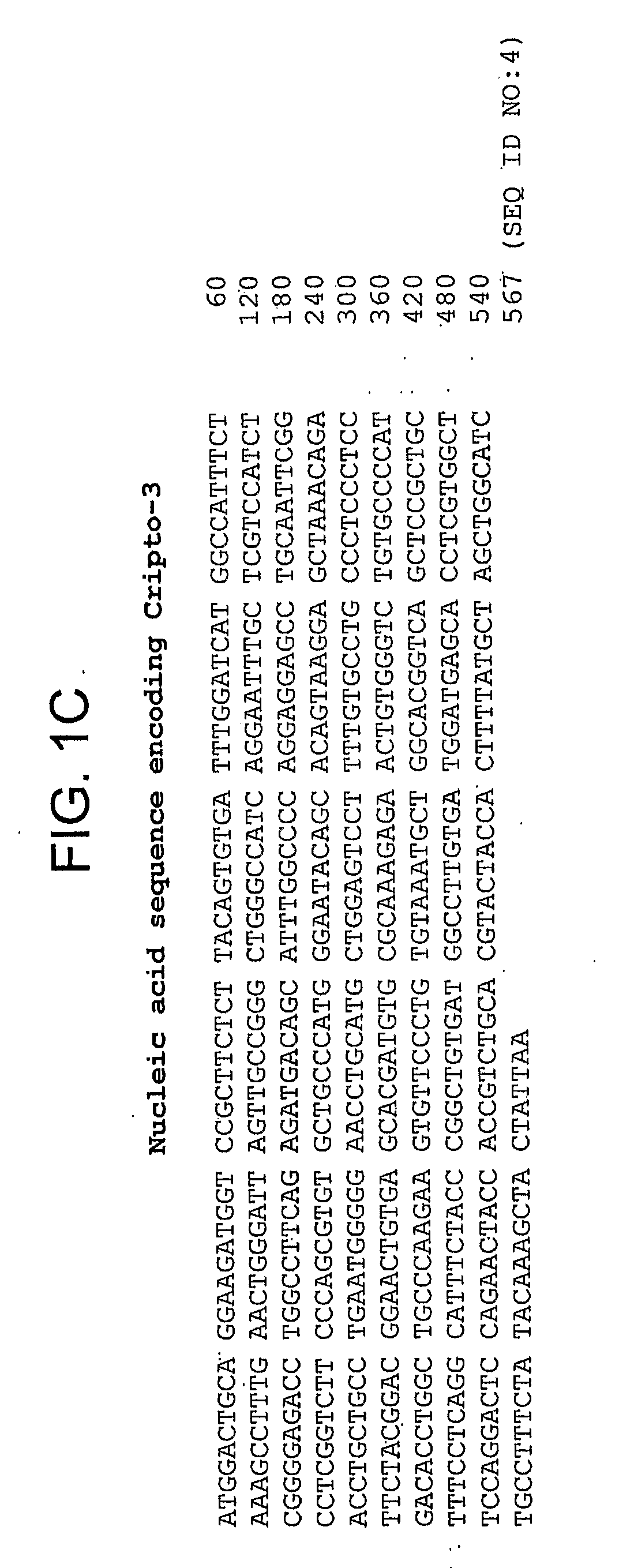 Composition and methods for the detection of cripto-3