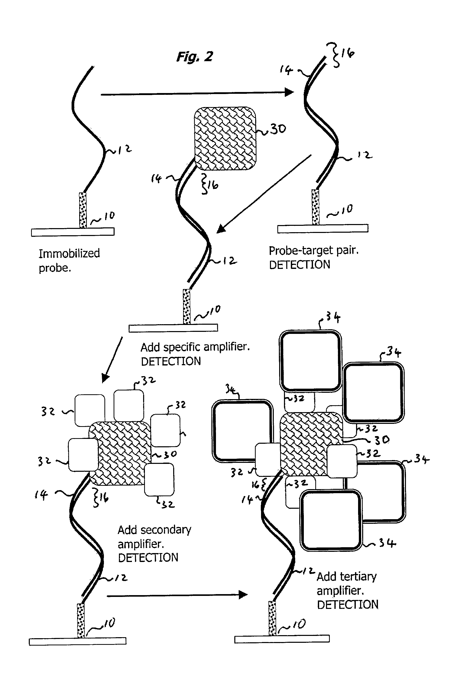 Method and apparatus for recognizing molecular compounds