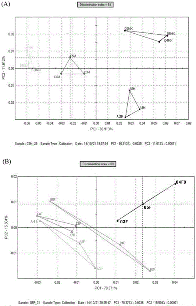 Chinese mitten crab fattening feed and application thereof