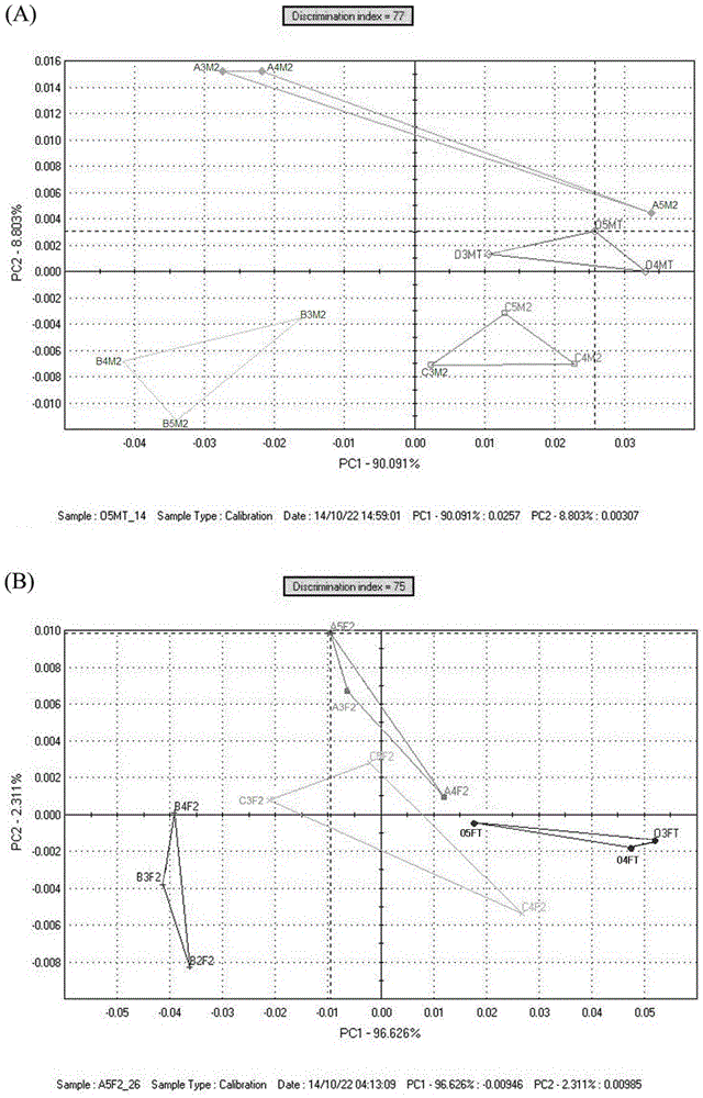 Chinese mitten crab fattening feed and application thereof