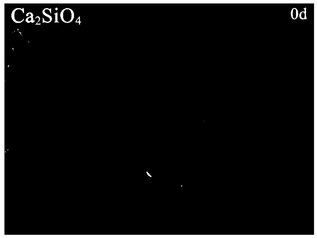 Marine anti-corrosion anti-fouling composite coating and preparation method thereof