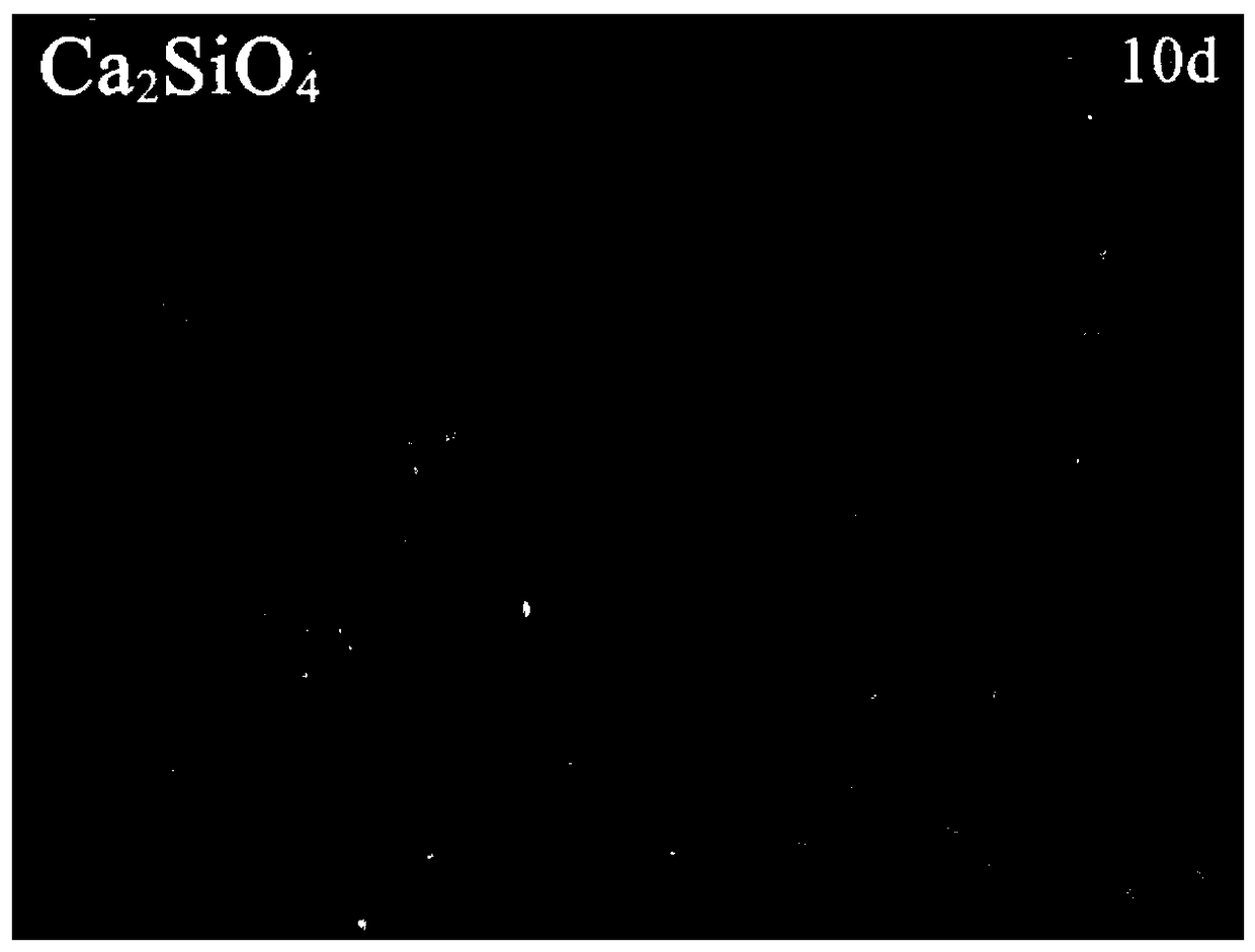 Marine anti-corrosion anti-fouling composite coating and preparation method thereof