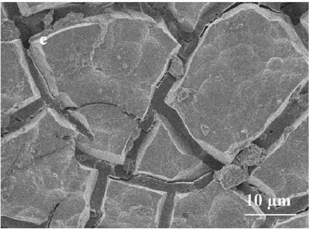 Method for preparing anti-oxidation coatings on surface of molybdenum and molybdenum alloy