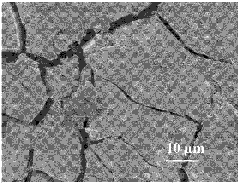 Method for preparing anti-oxidation coatings on surface of molybdenum and molybdenum alloy