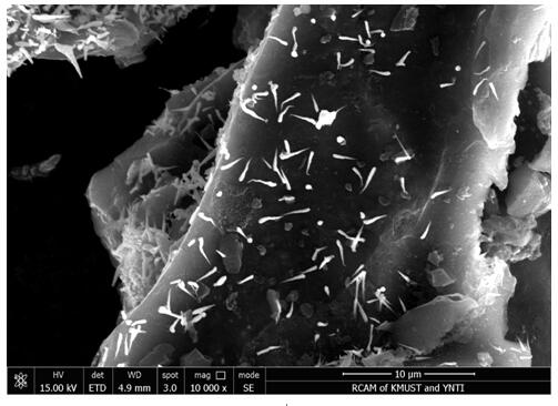 Preparation method and application of a kind of square phase bismuth oxide activated carbon photocatalyst