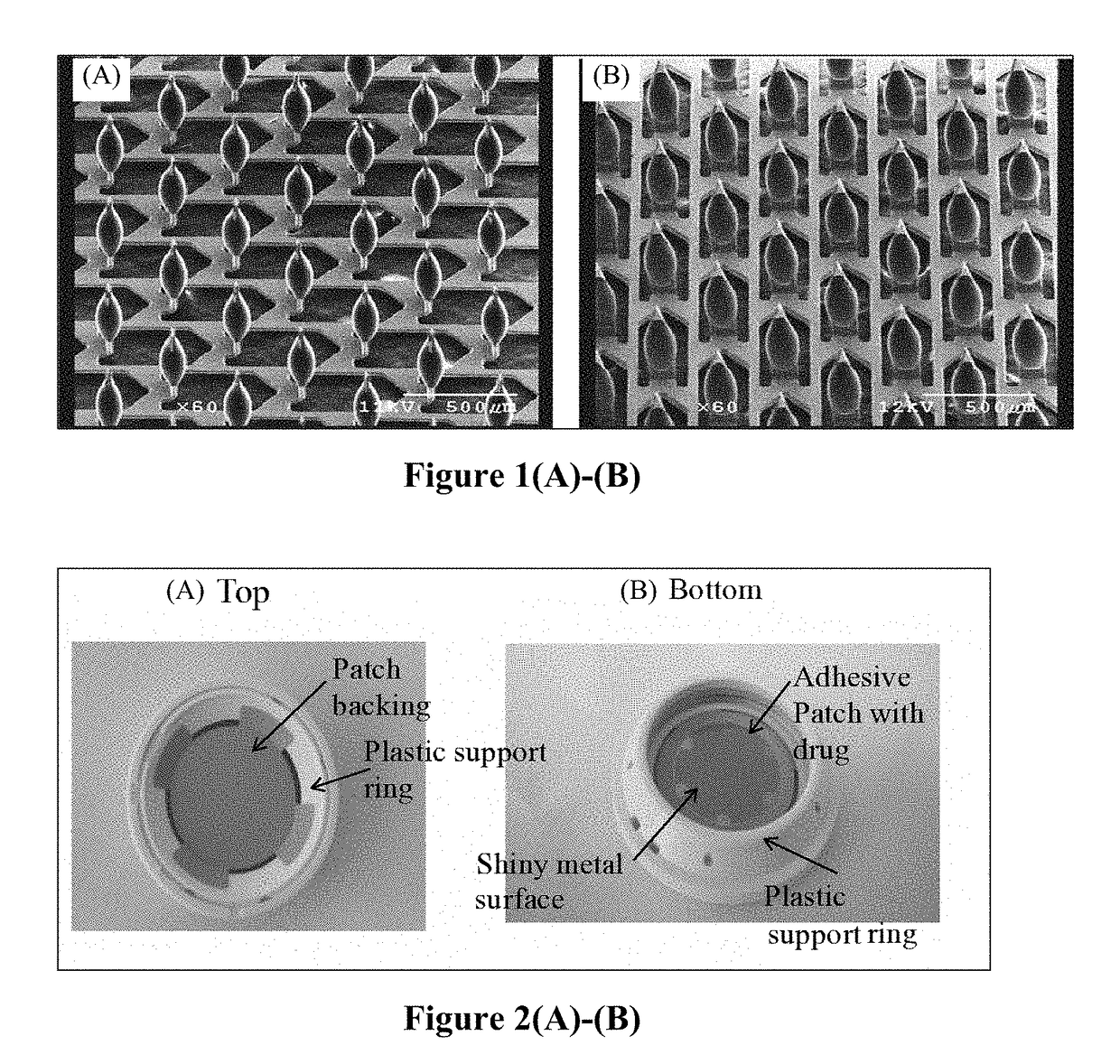 Method of rapidly achieving therapeutic concentrations of triptans for treatment of migraines