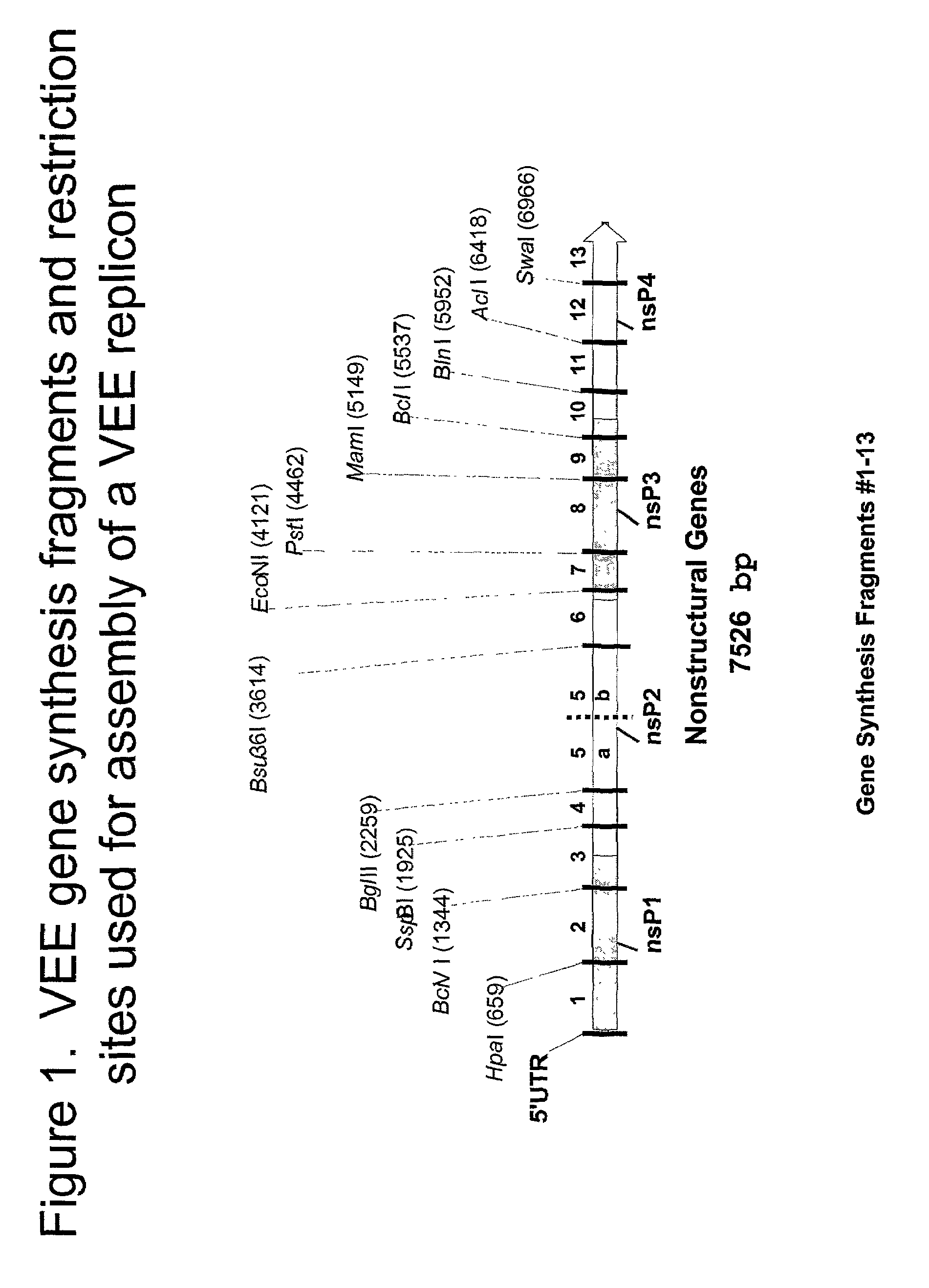 Chimeric alphavirus replicon particles