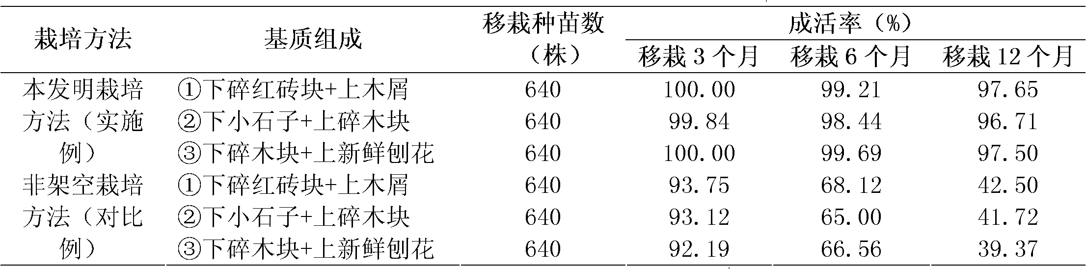 Overhead cultivation method of Dendrobium huoshanense test-tube seedlings