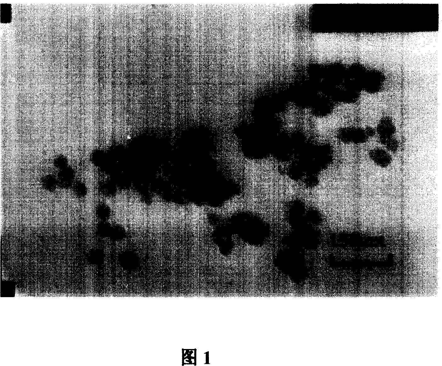 Method for preparing nano titanium dioxide modified polyurethane material and products thereof