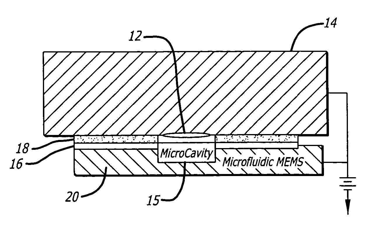 Microfluidic system