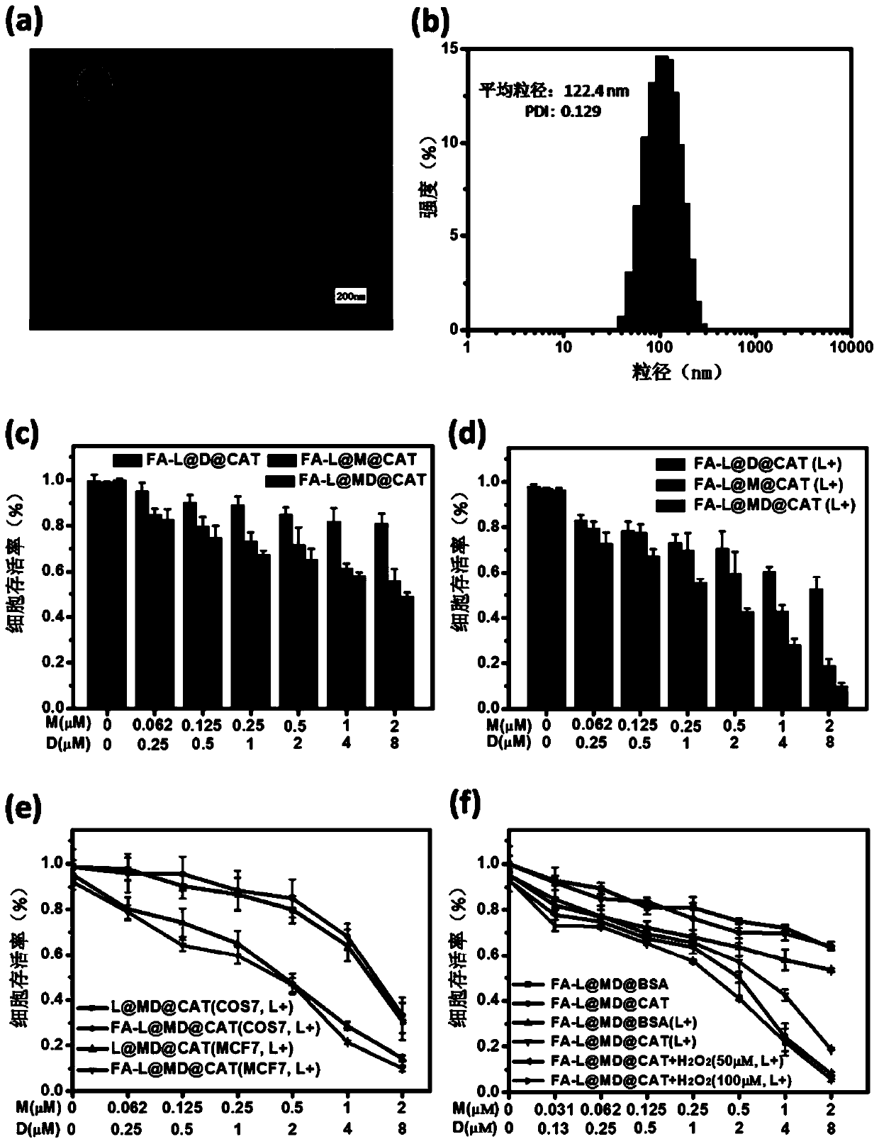 Composite nano-liposome and application thereof