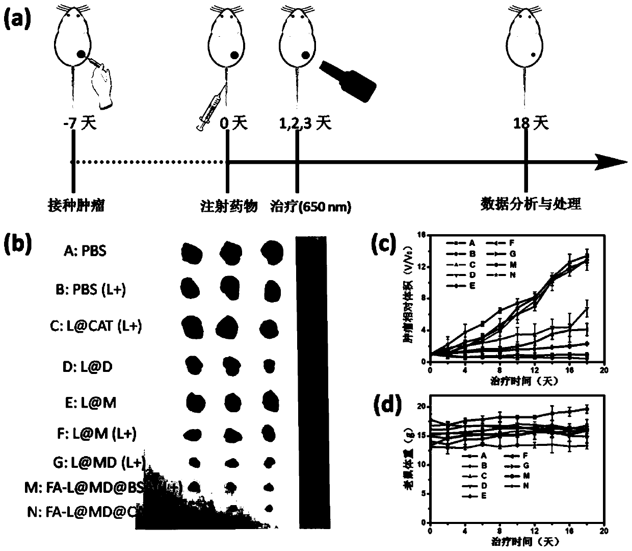 Composite nano-liposome and application thereof