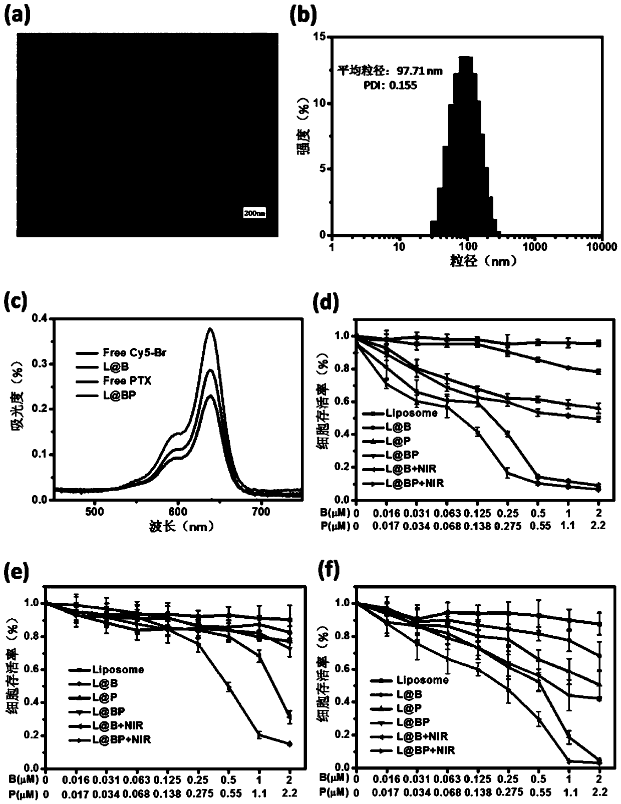 Composite nano-liposome and application thereof