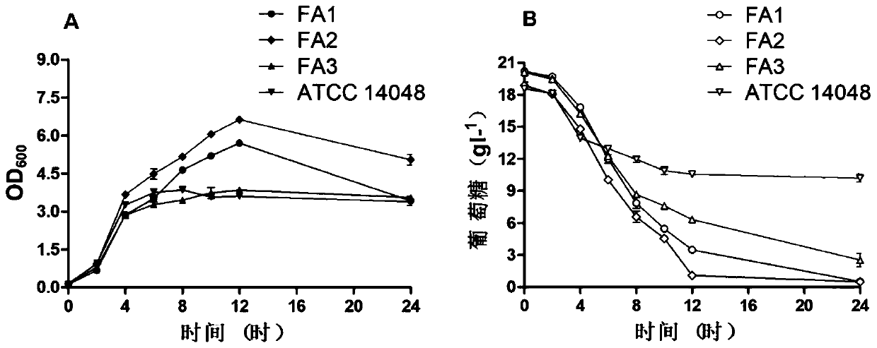 Three newly-separated vibrio fast-growing strains and application thereof