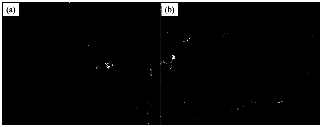 Identification of Glycosylated Peptides Using Hydrophilic Nanocomposites Combined with Mass Spectrometry