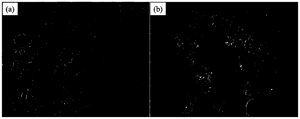 Identification of Glycosylated Peptides Using Hydrophilic Nanocomposites Combined with Mass Spectrometry