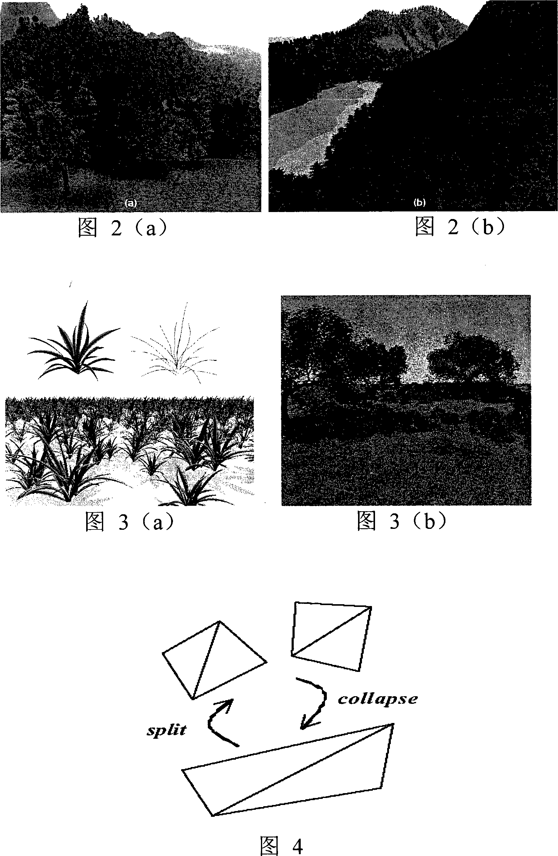 Constructing method for level detailed model of coniferous plant canopy