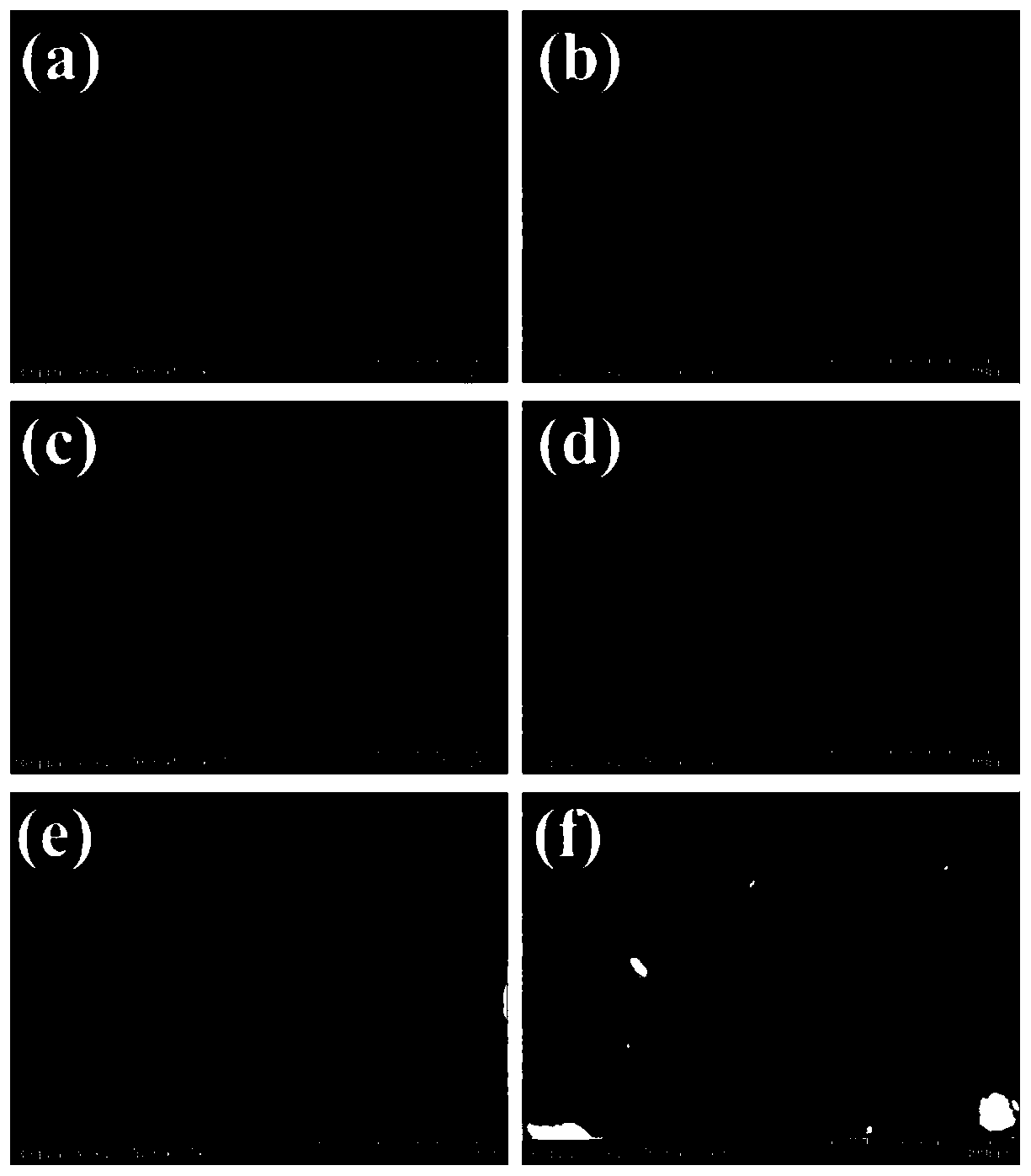 Method for preparing square bismuth oxychloride with adjustable thickness through hydrothermal method