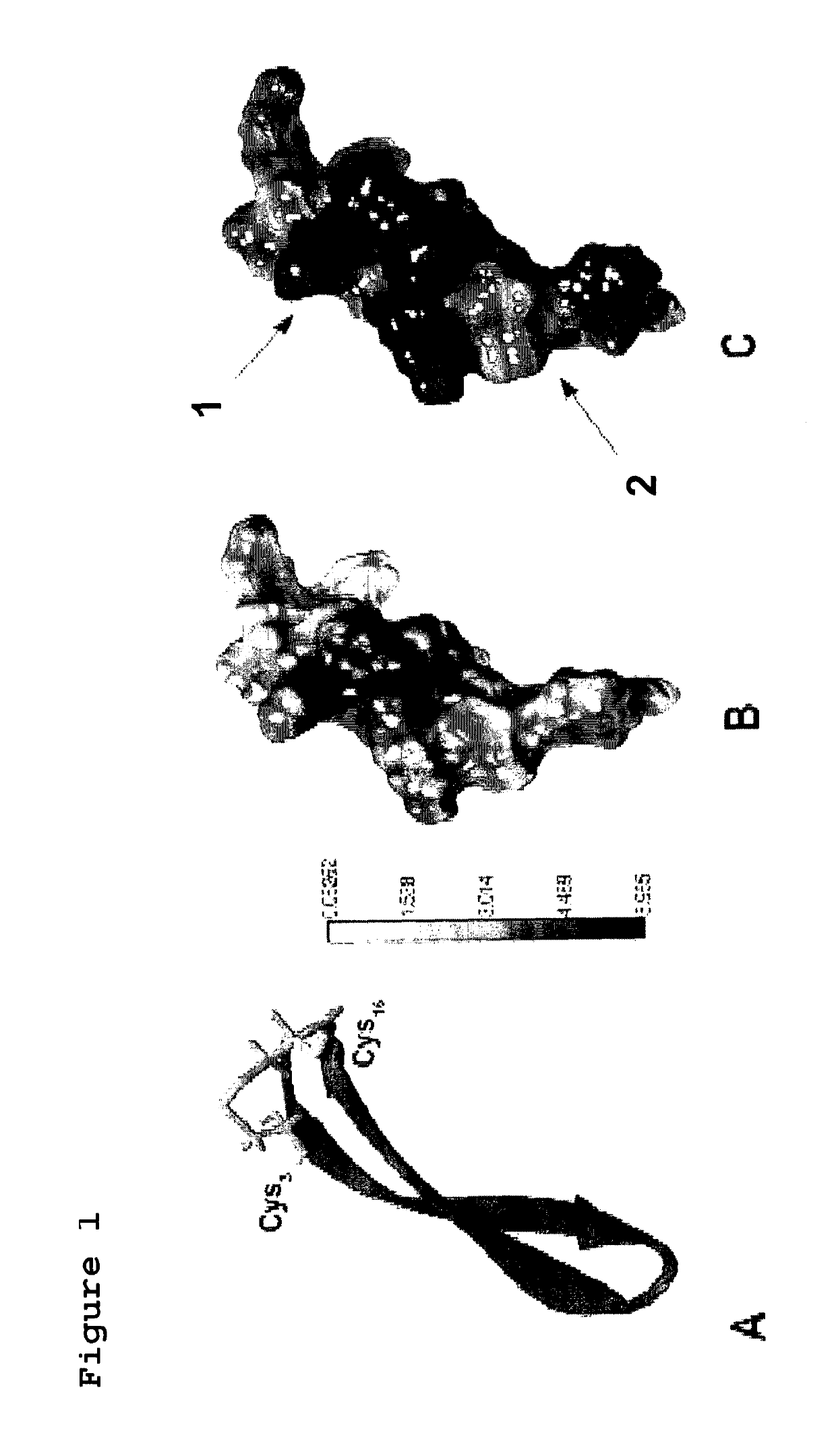 Cyclic cationic peptides with antimicrobial activity