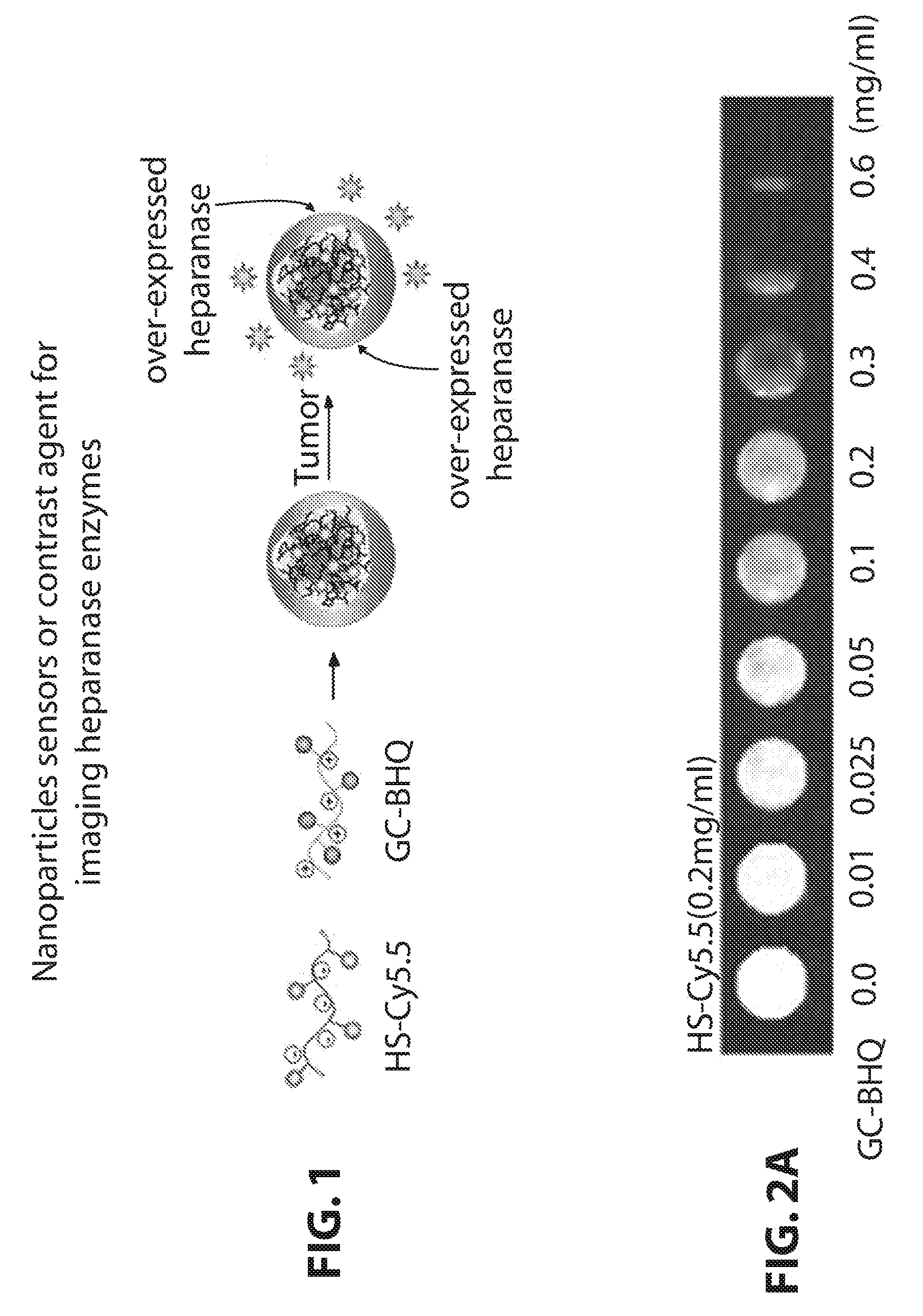 Ionic complex nanoparticles for detecting heparanase activities and method for preparing the same