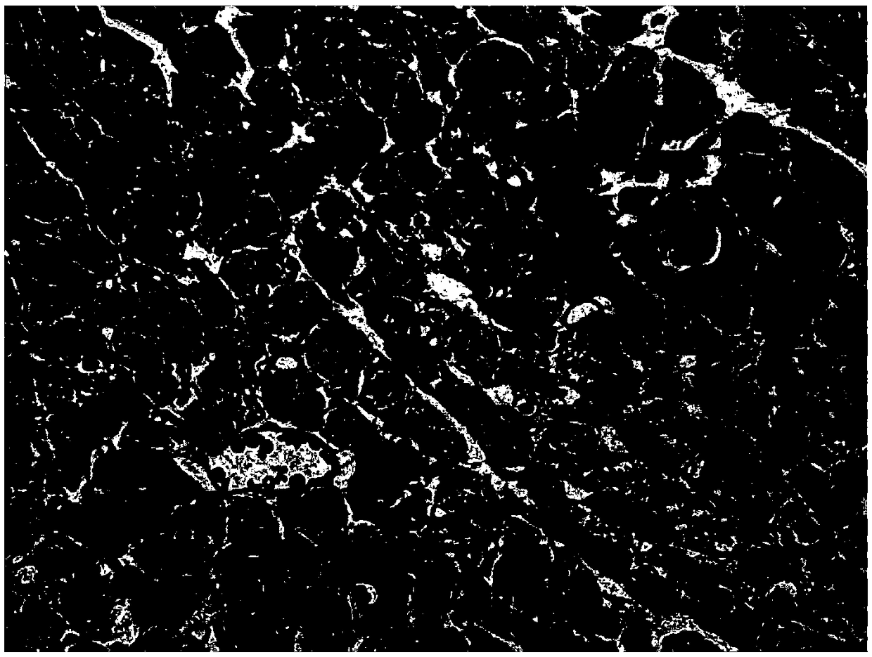 Construction method of diabetic cardiomyopathy animal model