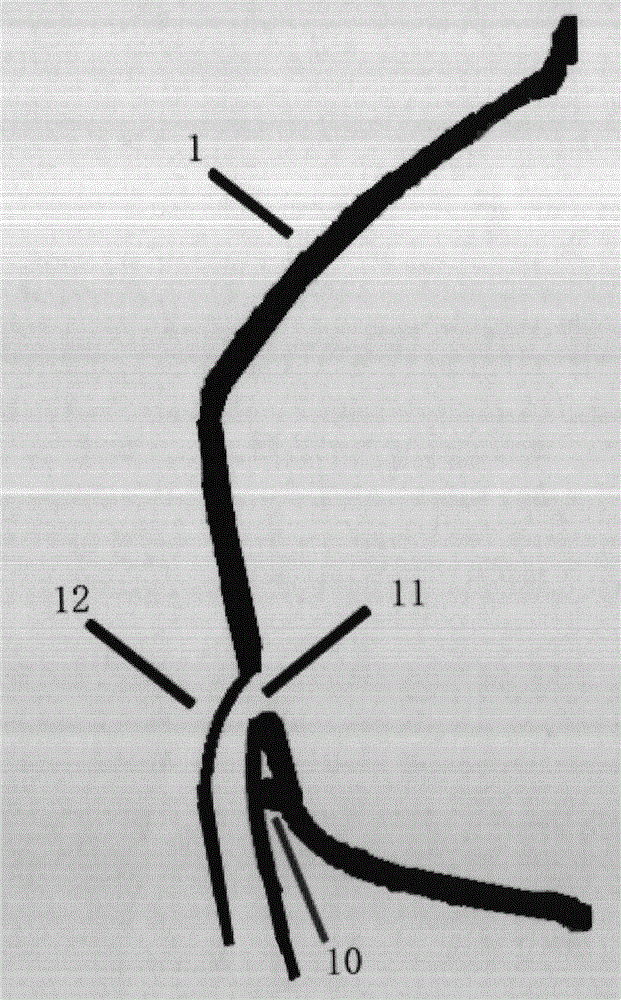 Expiratory valve used for respiratory protection device