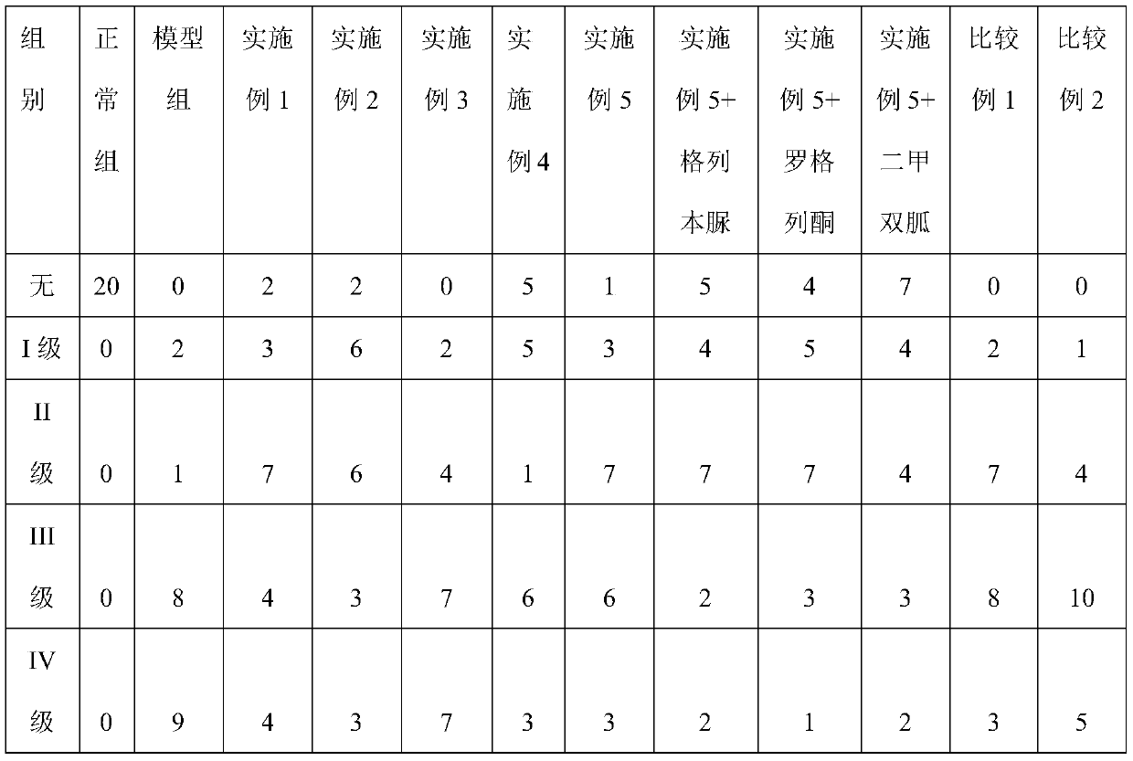 Traditional Chinese medicine composite, and preparation method and application thereof