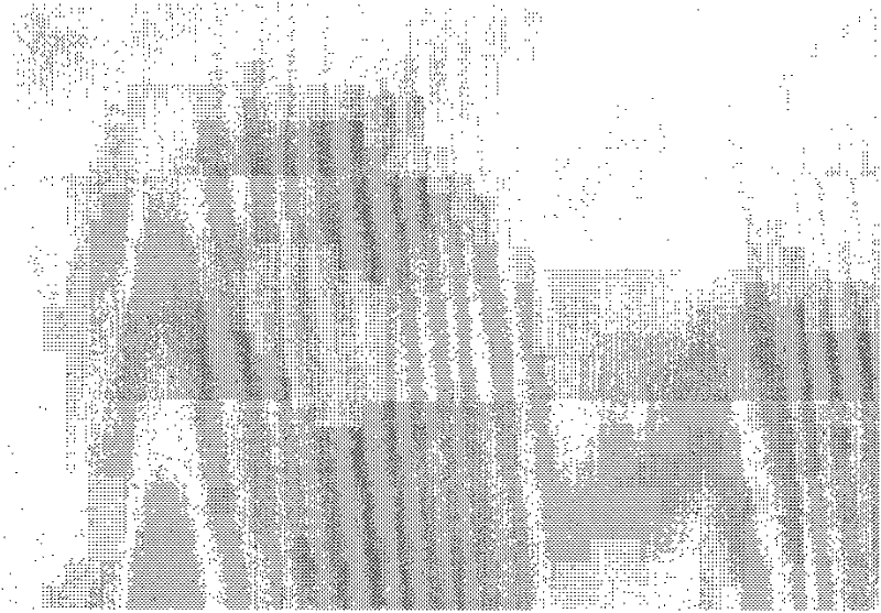 Cement waterproofing material and preparation method thereof